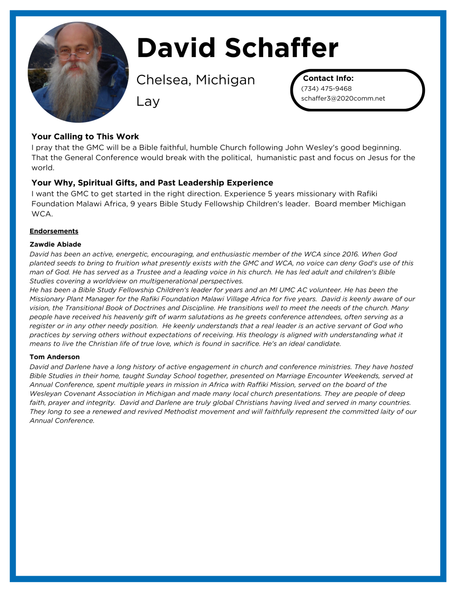 Laity Candidate Profiles - SchafferDav